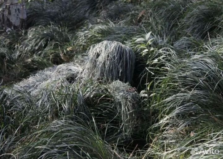 Костюм маскировочный «Леший»