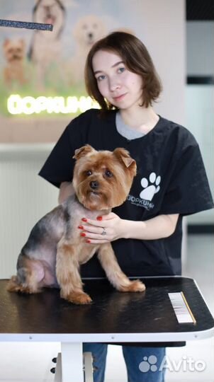 Модель на груминг