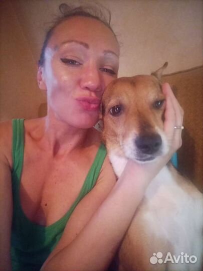 Передержка попугаев птиц хомяков свинок мышек