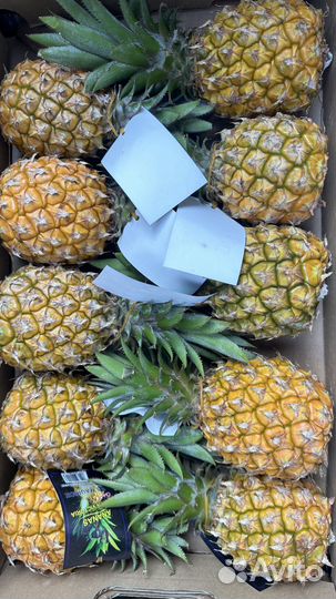 Ананас mini фрукт