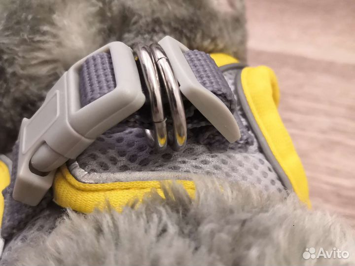 Шлейка для кота