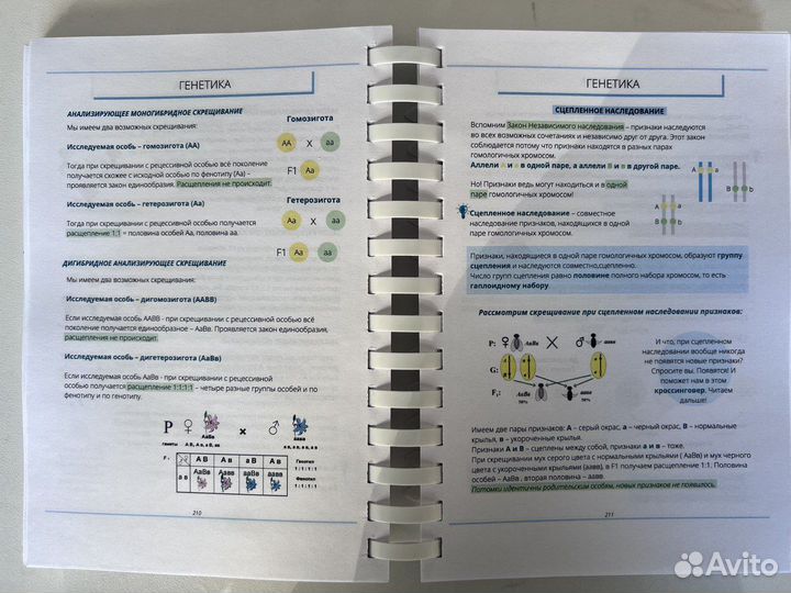 Учебник для подготовки к ЕГЭ ОГЭ по биологии Бриз