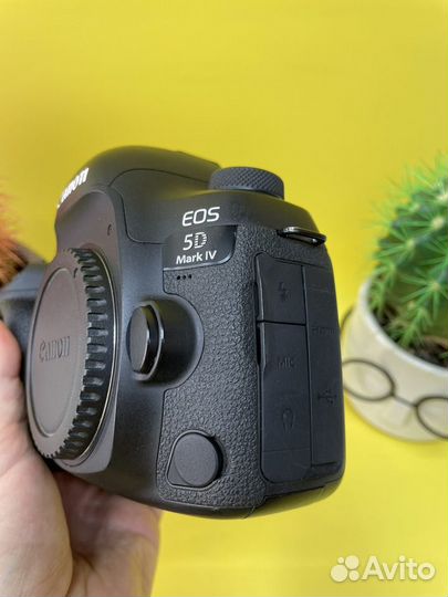 Canon EOS 5D Mark IV