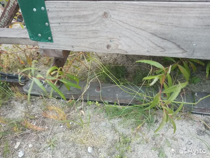 Охота и рыбалка