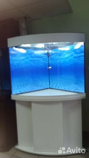 Аквариум 200 свет биофильтр фон подставка