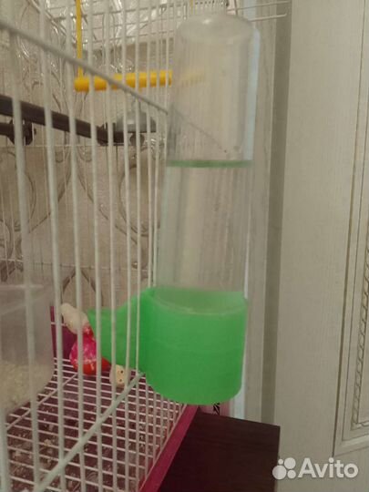 Клетка для попугая