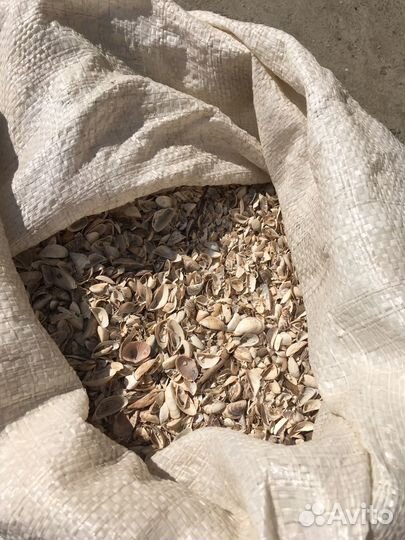 Ракушка кормовая