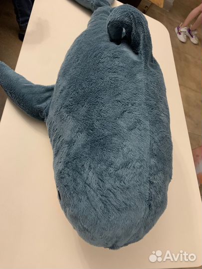 Акула блохэй из икеи