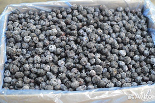 Черника замороженная крупный опт