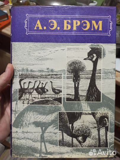 Жизнь животных. А.Э.Брем