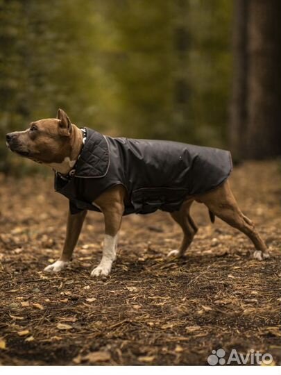 Попона для собак весна-осень