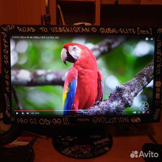 Монитор Philips 206VL 20
