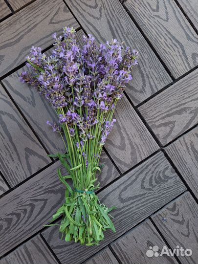 Букетики лаванды 30см