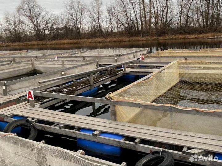 Крышка садка для выращивания рыбы