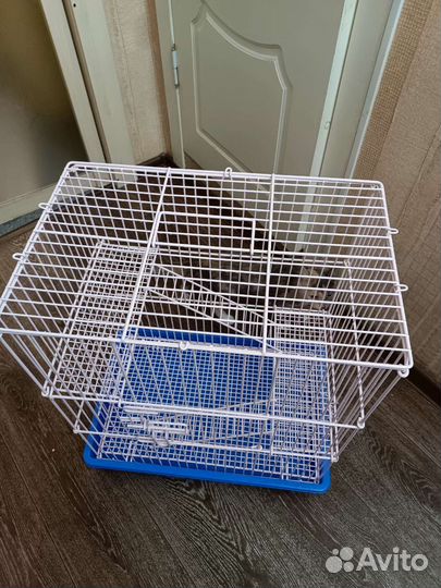 Клетка для грызунов бу