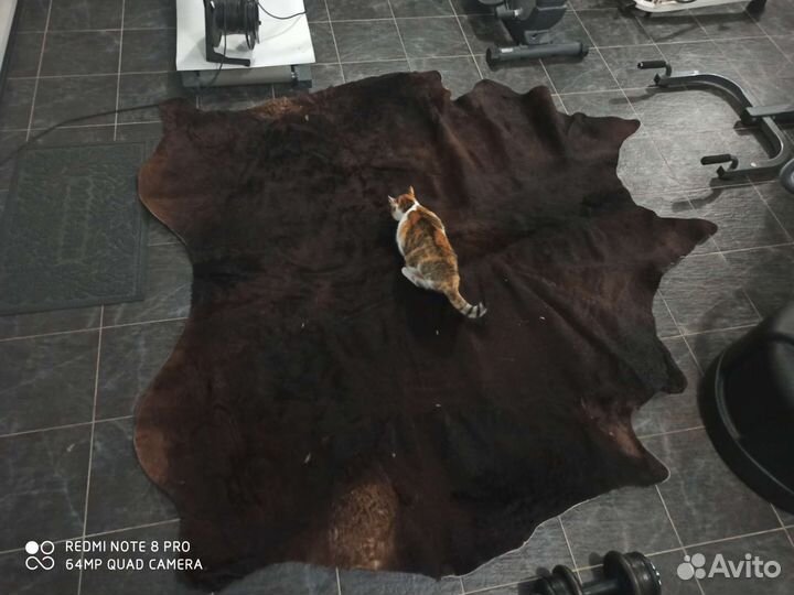 Шкура коровы