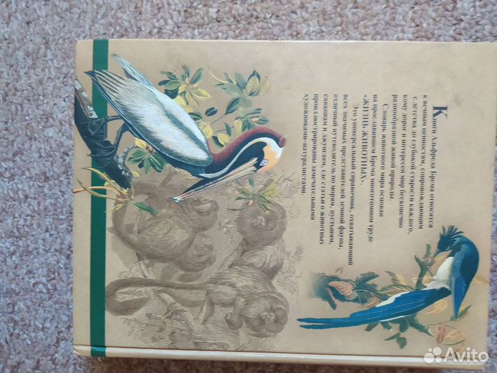 Книга Альфред Брем жизнь животных