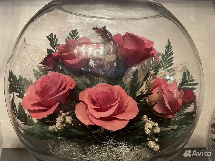 Стабилизированные живые цветы в стекле 'fiora'