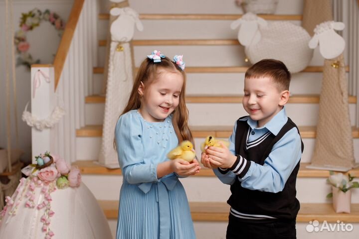 Пасхальная фотосессия с утятами и кроликом