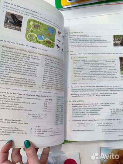 Menschen A1.1 и Motive A2 по немецкому