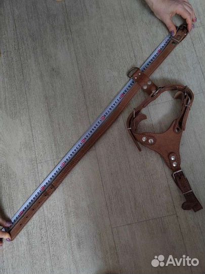 Шлейка для собаки