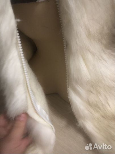 Фурсьют цербер