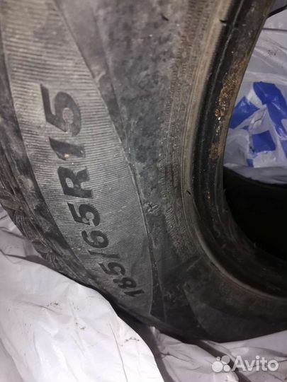 Nexen Winguard Ice 185/65 R15