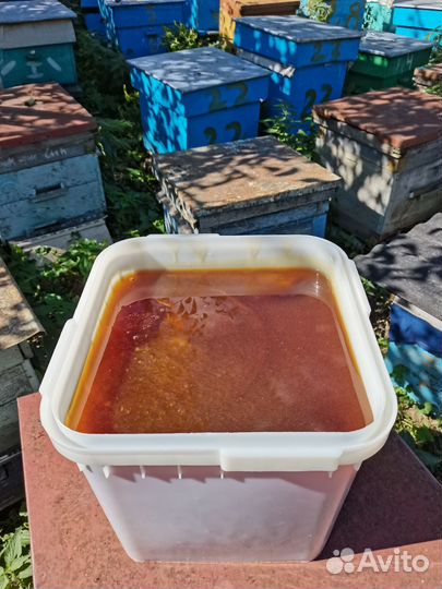 Мёд, разнотравье 2023