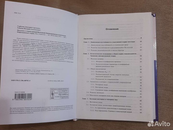 Теория большого взрыва, космологические возмущения