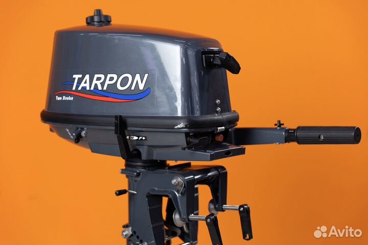 Лодочный мотор Tarpon T 5 S