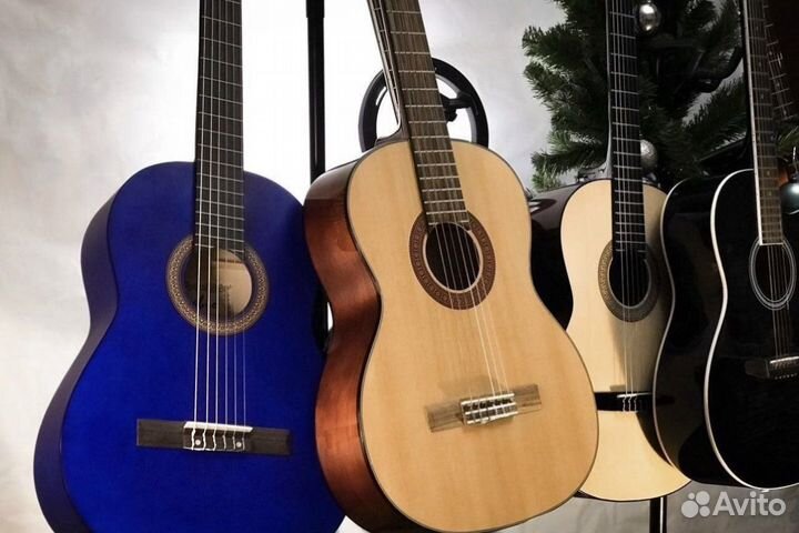 Гитара (Чехол для гитары )