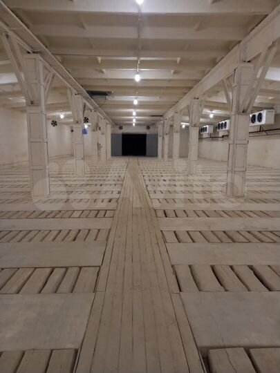 Аренда холодильного склада, овощехранилища 1224м²