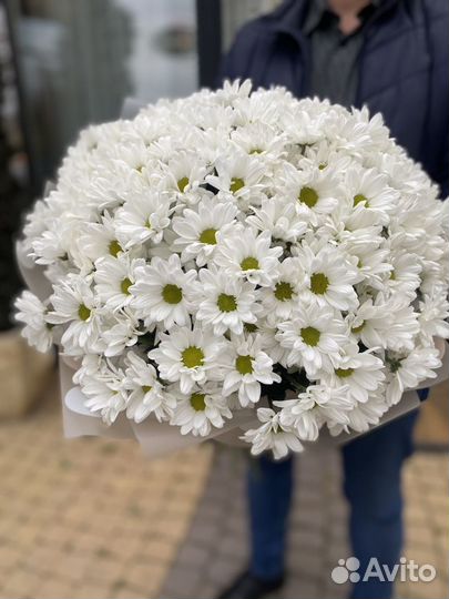 Букет из 25 хризантем