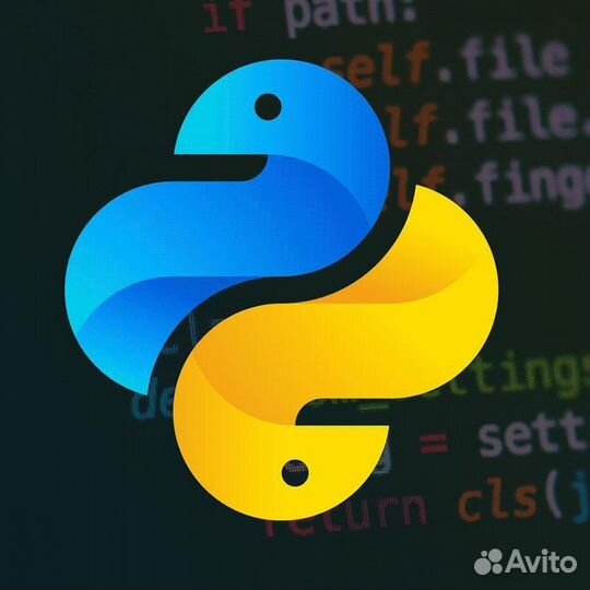 Репетитор по Python (django, pandas, flask, SQL)