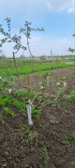 Дом 200 м² на участке 30 сот.