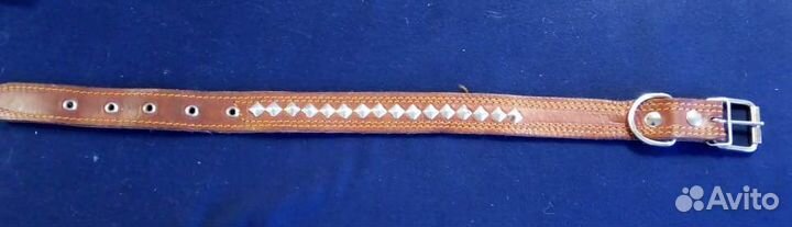 Ремень-ошейник