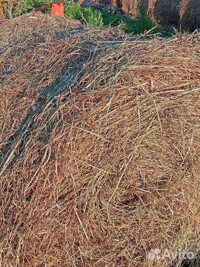 Сено в тюках