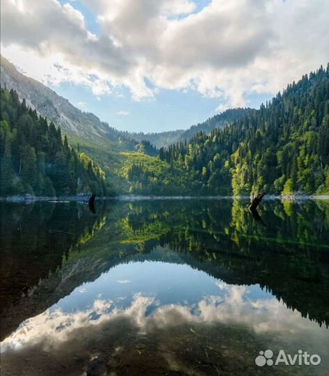 Индивидуальные экскурсии Абхазия, Сочи, Поляна