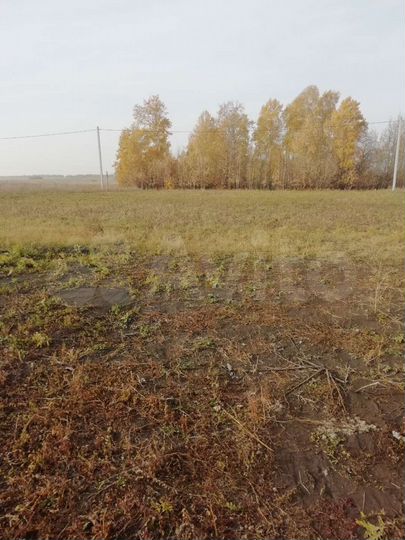 Участок 11 сот. (ИЖС)