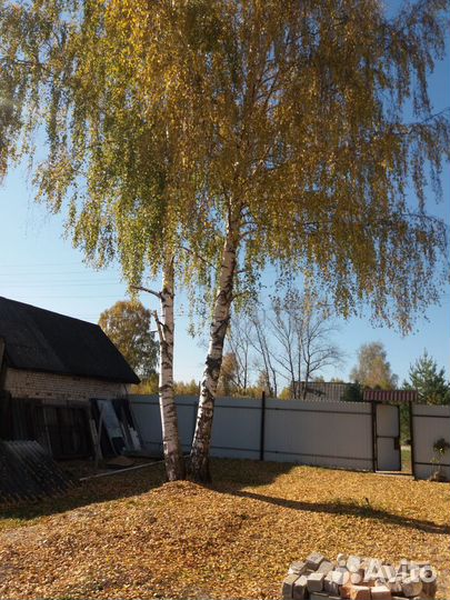 Спил деревьев