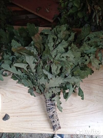 Дубовые веники для бани