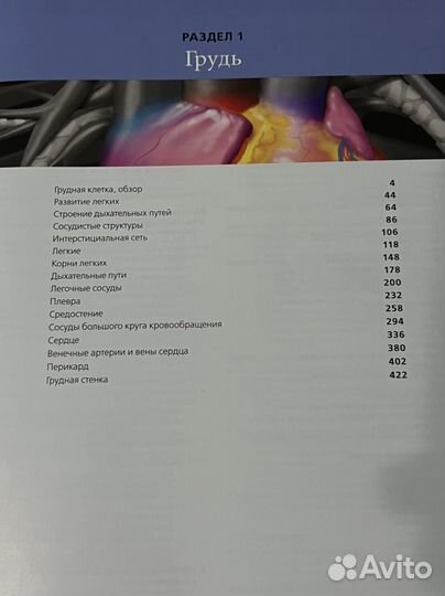 Лучевая анатомия. Грудь, живот, таз. Рентгенология