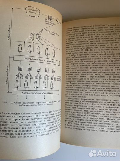 Вахтин.Генетика соматических клеток