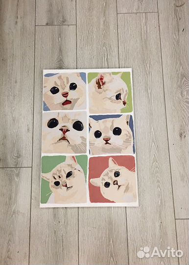 Картина Эмоции белого котика