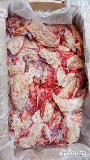 Мясо для животных (собак и кошек)