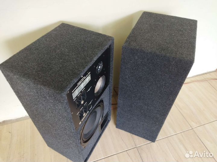 Колонки Радиотехника 35ас-201