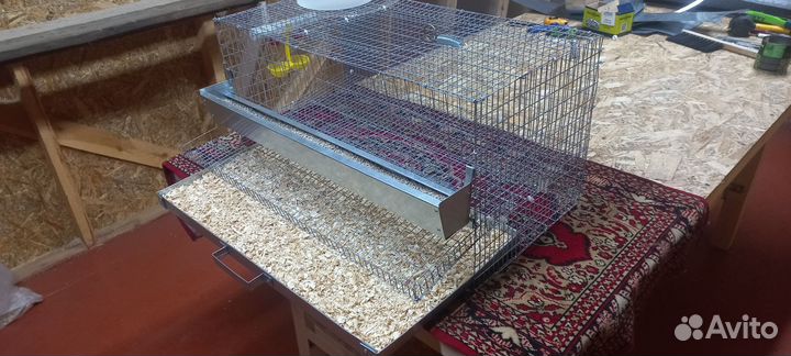 Клетка для 15 перепелов