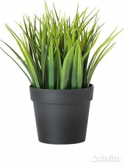 IKEA новые цветы трава искуственные