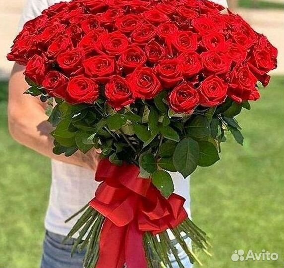 Букет роз 101 роза 51 роза