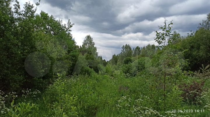 Участок 15 сот. (СНТ, ДНП)